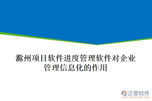 滁州項目軟件進度管理軟件對企業(yè)管理信息化的作用