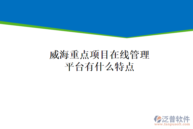 威海重點項目在線管理平臺有什么特點