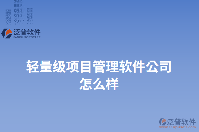 輕量級項目管理軟件公司怎么樣