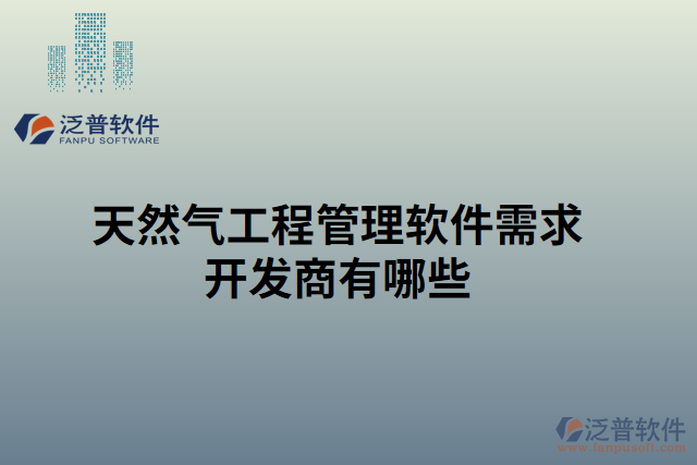 天然氣工程管理軟件需求開發(fā)商有哪些