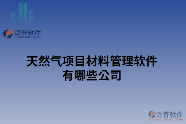 天然氣項目材料管理軟件有哪些公司