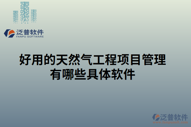 好用的天然氣工程項目管理有哪些具體軟件