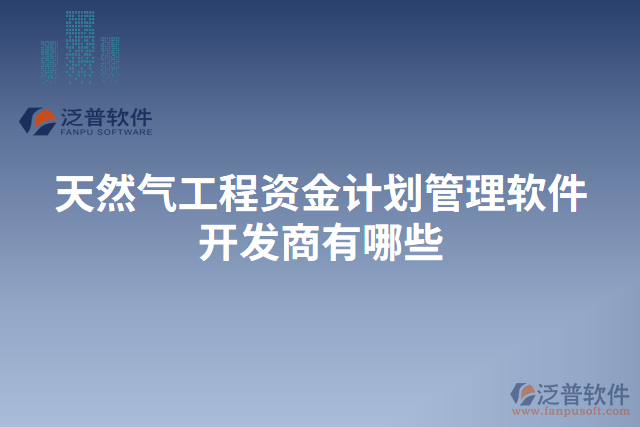 天然氣工程資金計劃管理軟件開發(fā)商有哪些