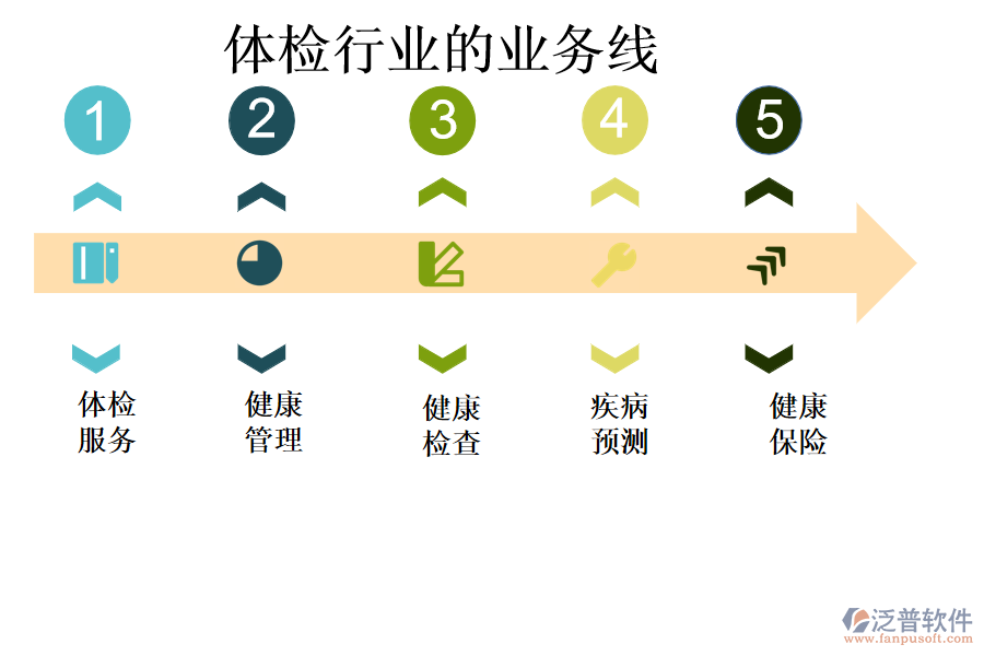 體檢行業(yè)的業(yè)務(wù)線