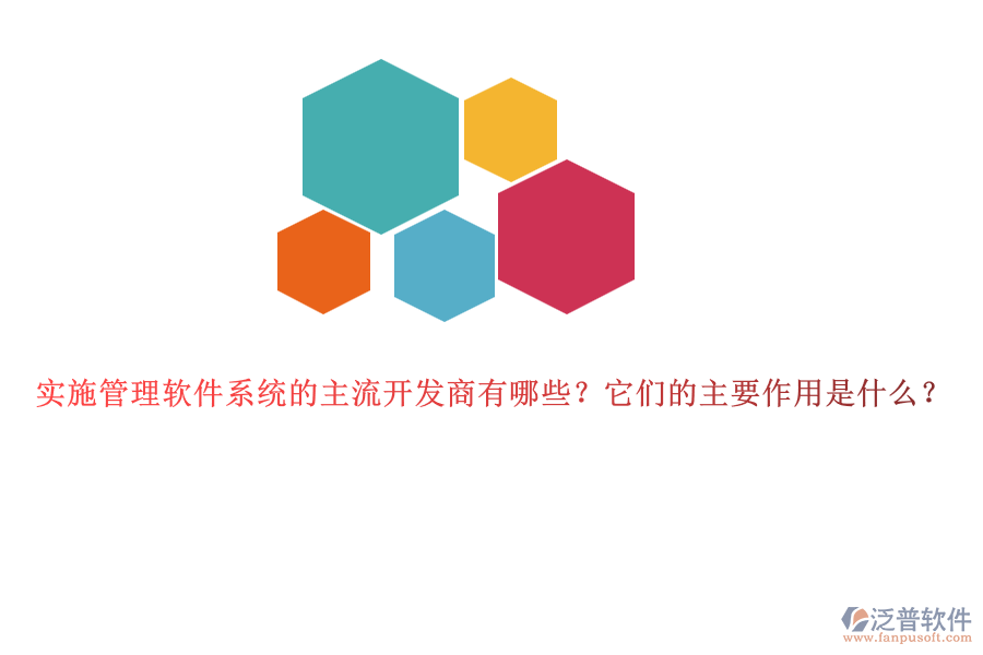 實施管理軟件系統(tǒng)的主流開發(fā)商有哪些？它們的主要作用是什么？