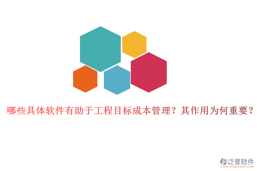 哪些具體軟件有助于工程目標(biāo)成本管理？其作用為何重要？