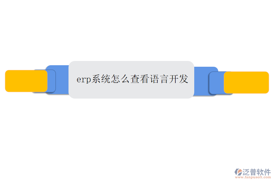 erp系統(tǒng)怎么查看語言開發(fā)